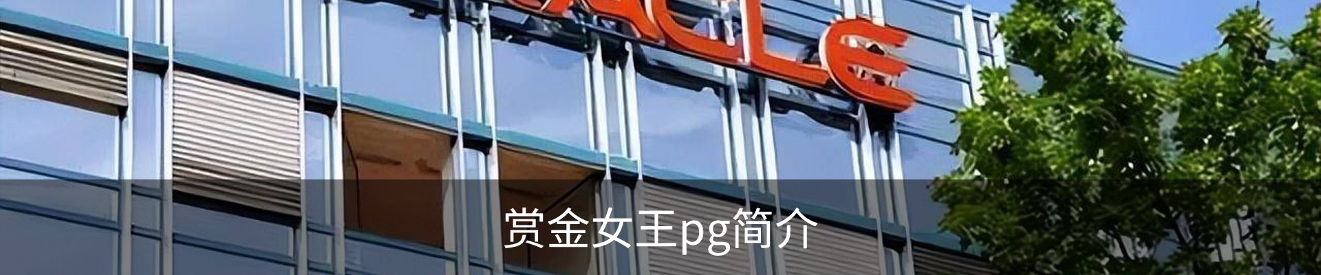 赏金女王pg简介